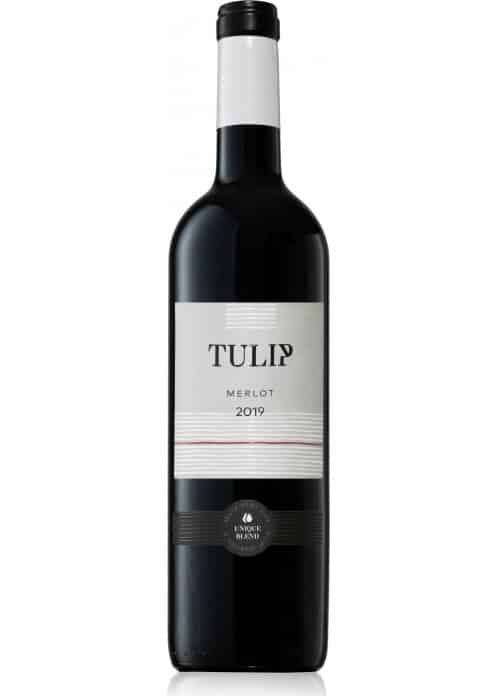 יין אדום טוליפ מרלו