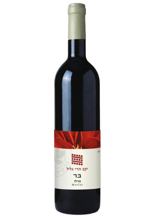 יין אדום הרי גליל בר מרלו